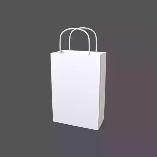 Paper Bag with Handles V1 003