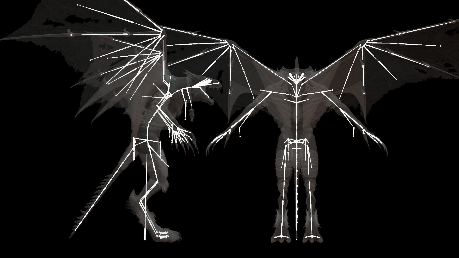 Flying Beasts Bundle 3D Model Collection_48