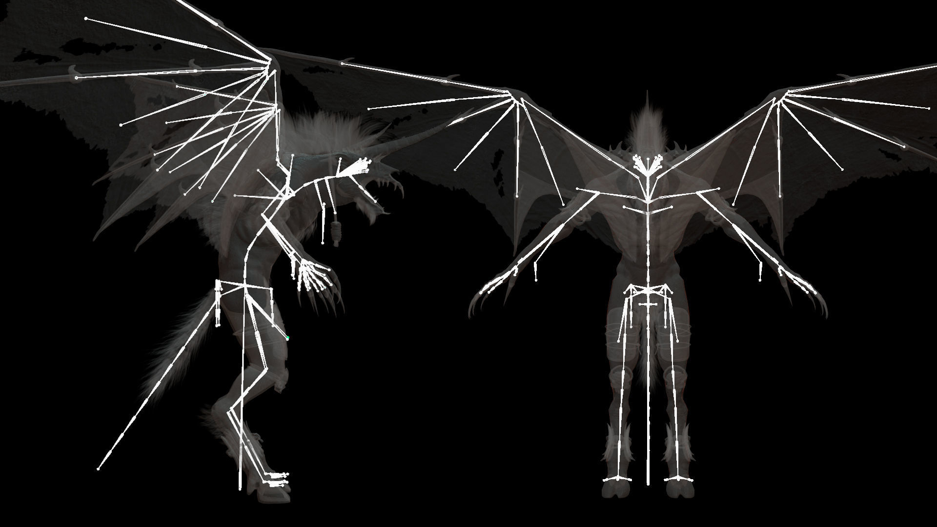 Flying Beasts Bundle 3D Model Collection_39