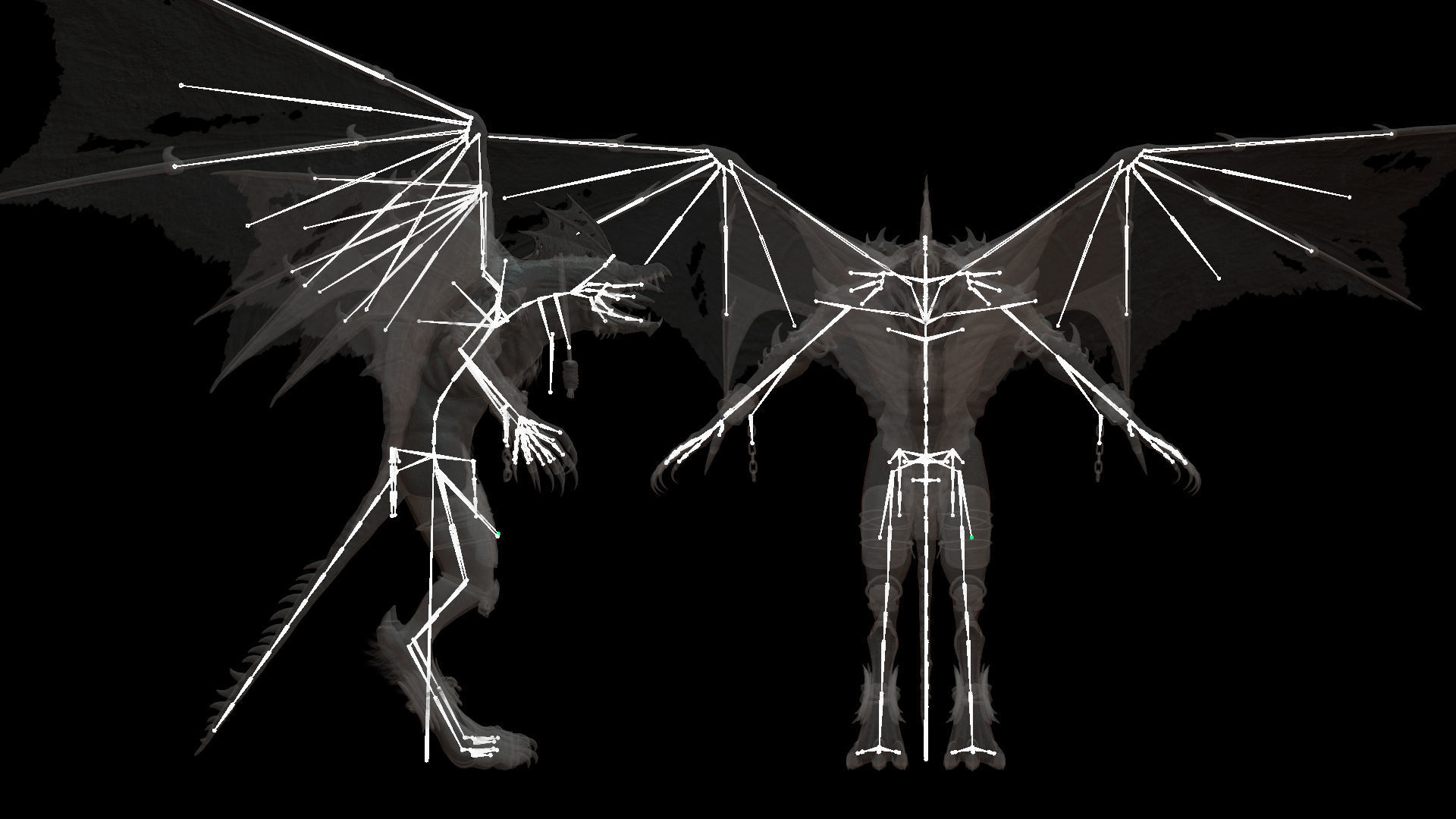 Flying Beasts Bundle 3D Model Collection_56