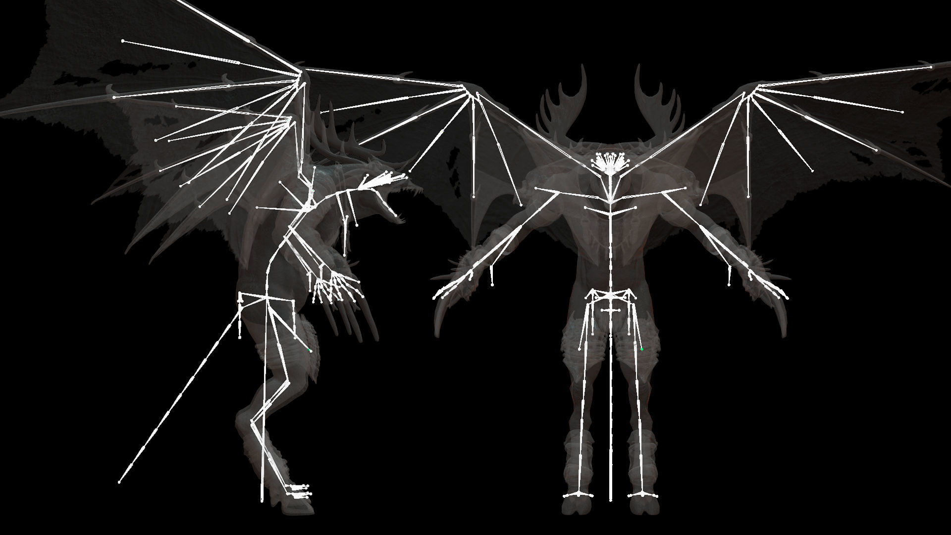 Flying Beasts Bundle 3D Model Collection_66