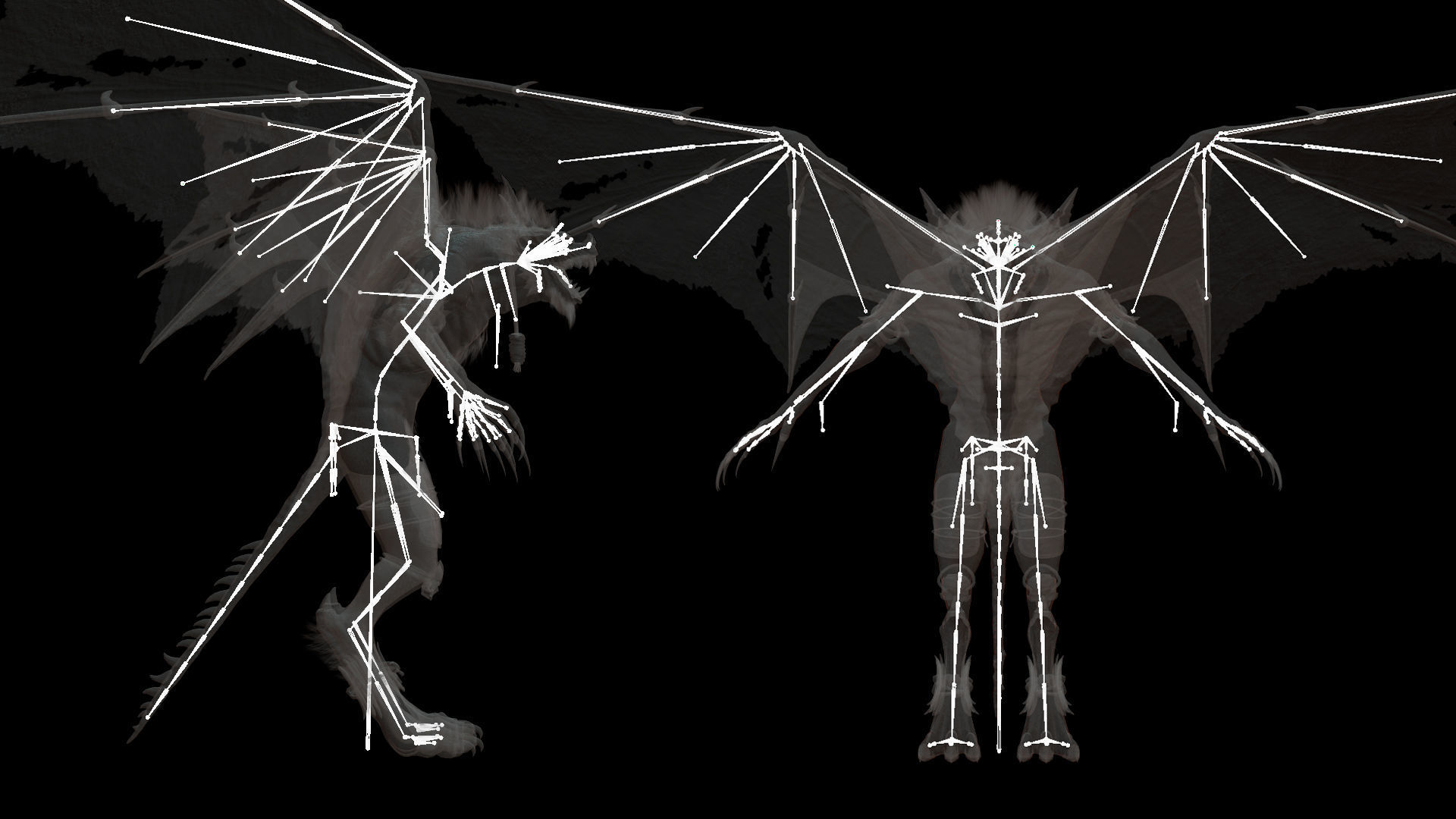 Flying Beasts Bundle 3D Model Collection_31