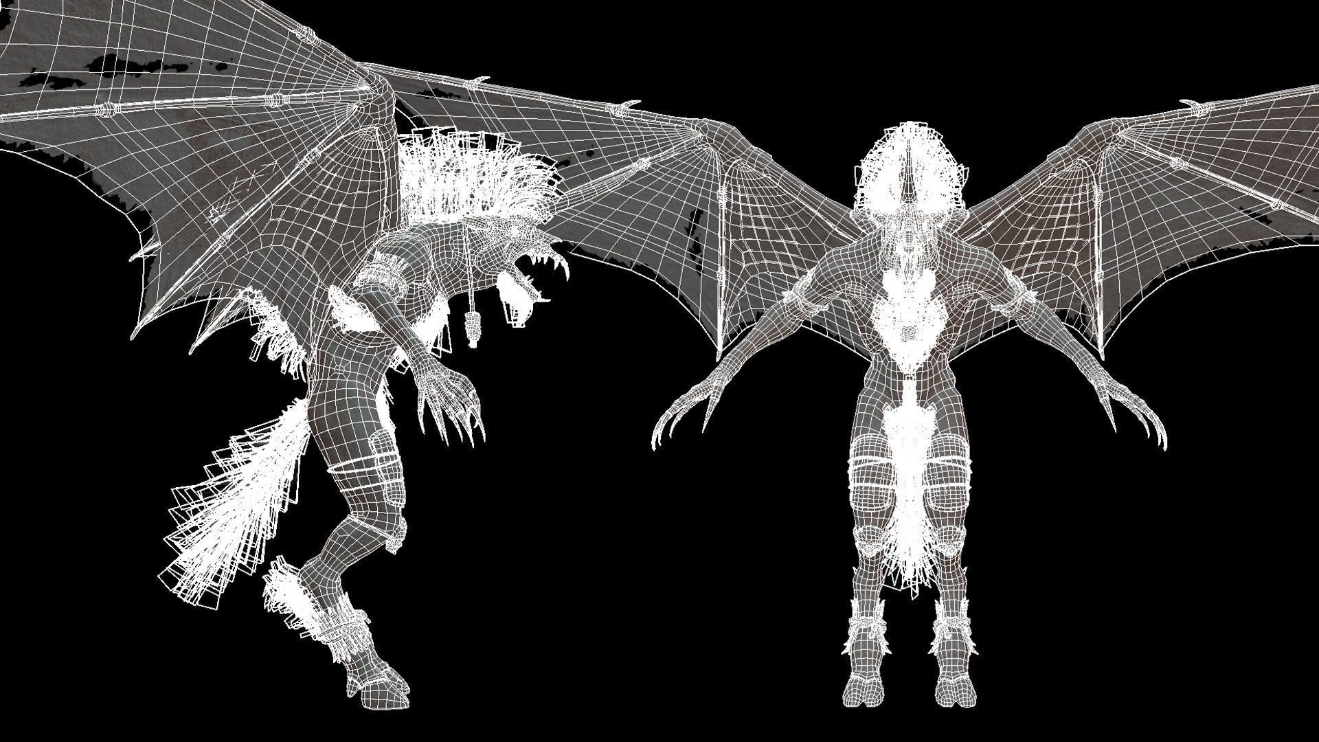 Flying Beasts Bundle 3D Model Collection_38