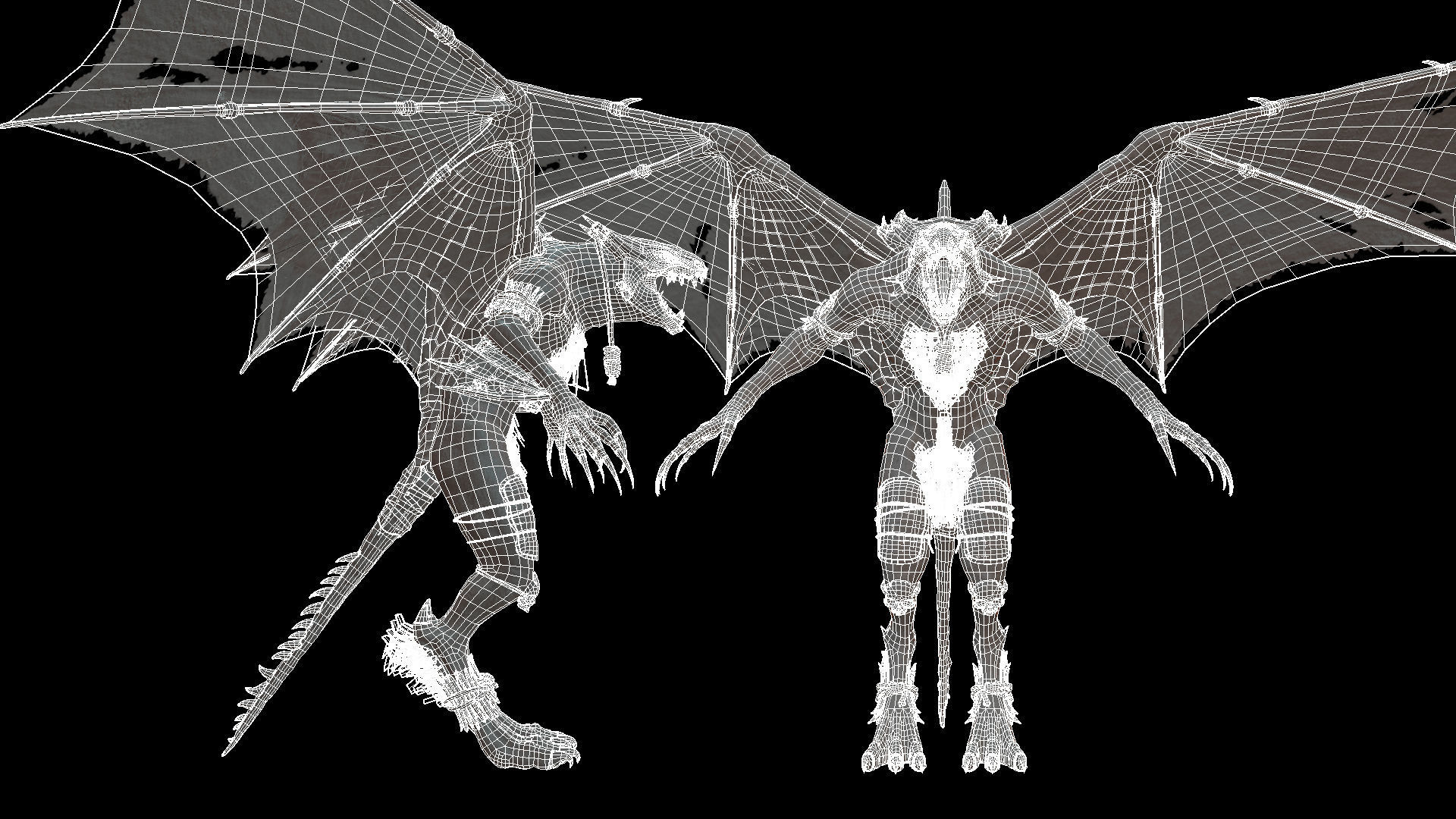 Flying Beasts Bundle 3D Model Collection_47