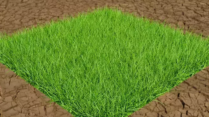 The Cheapest Grass with Best Quality 3D model