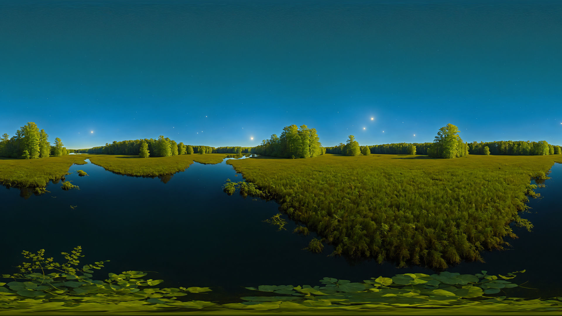 HDRI Swamps and Wetlands Low-poly 3D model_8