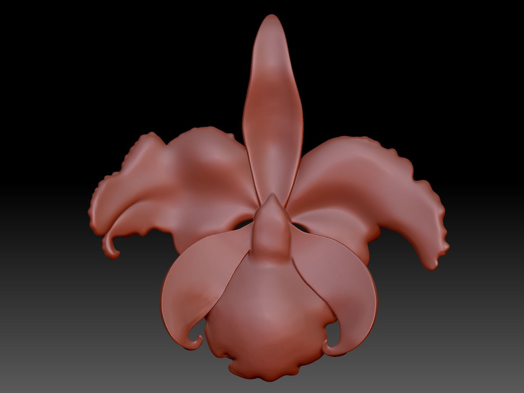 Orchid 3D print model_1