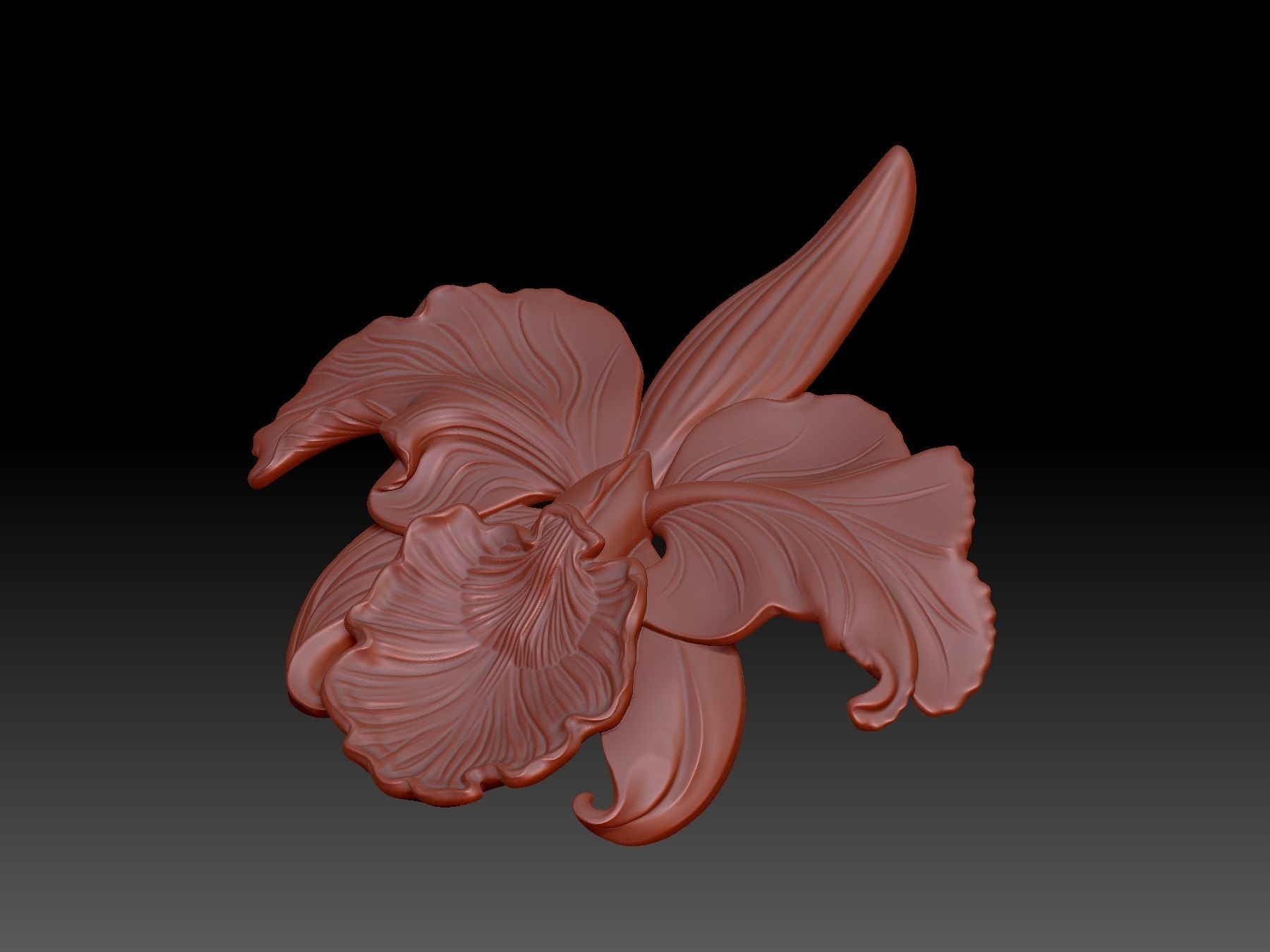 Orchid 3D print model_2