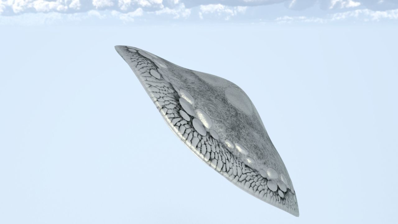 Cap Mushroom Low-poly 3D model_3