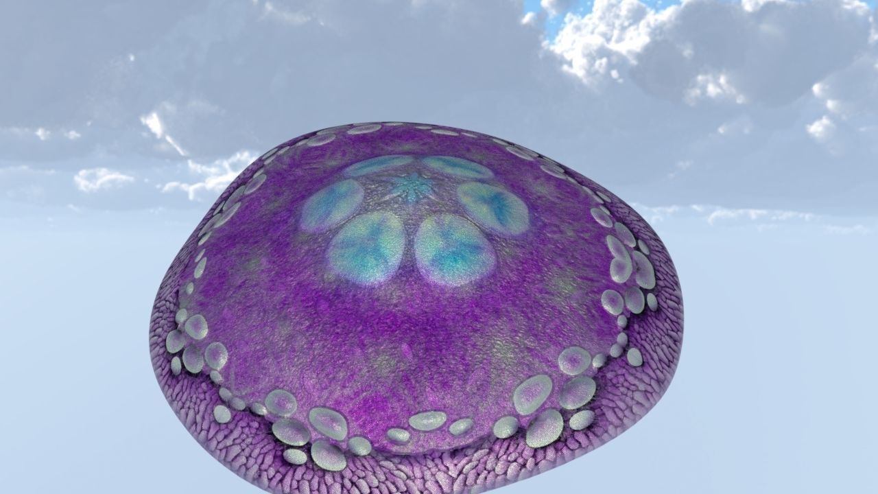 Cap Mushroom Low-poly 3D model_5