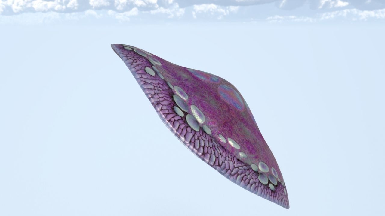 Cap Mushroom Low-poly 3D model_4