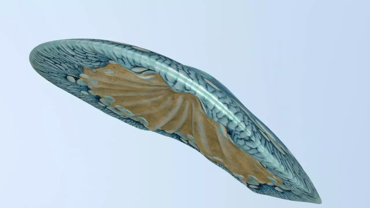 Cap Mushroom Low-poly 3D model_0