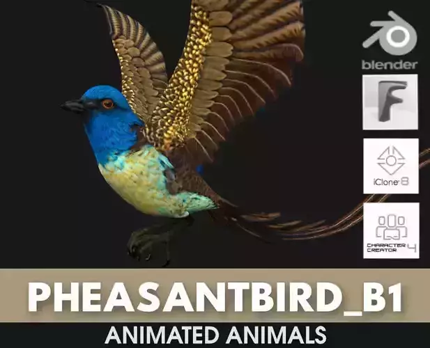 PheasantBird B1