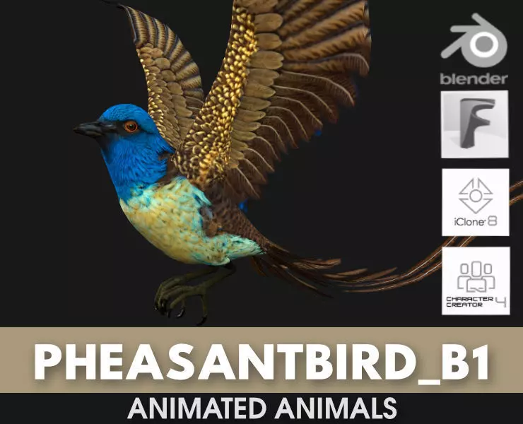 PheasantBird B1 3D model