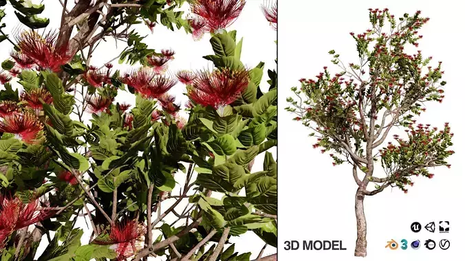 2 Flowering trees Tropical Ohia Lehua Tree of Hawaii Low-poly 3D model