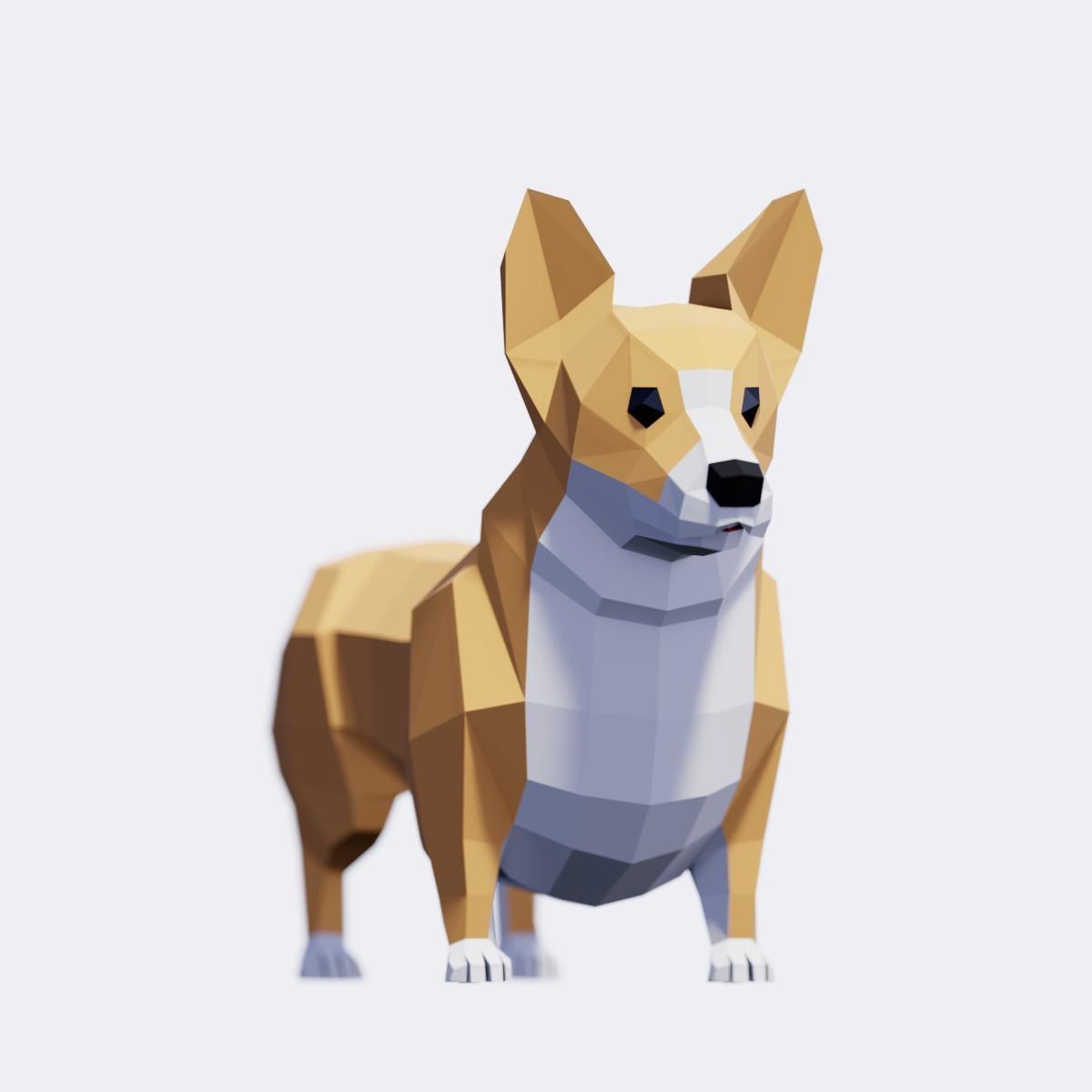 Corgi Dog Low-poly 3D model_1