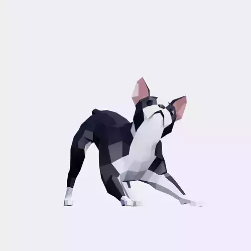 Boston Terrier Dogs Low-poly 3D model