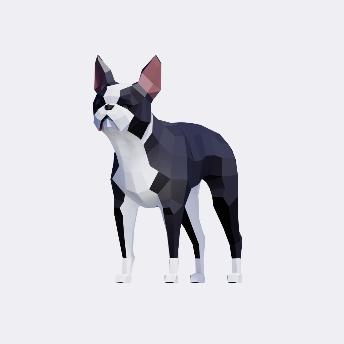 Boston Terrier Dogs Low-poly 3D model_6