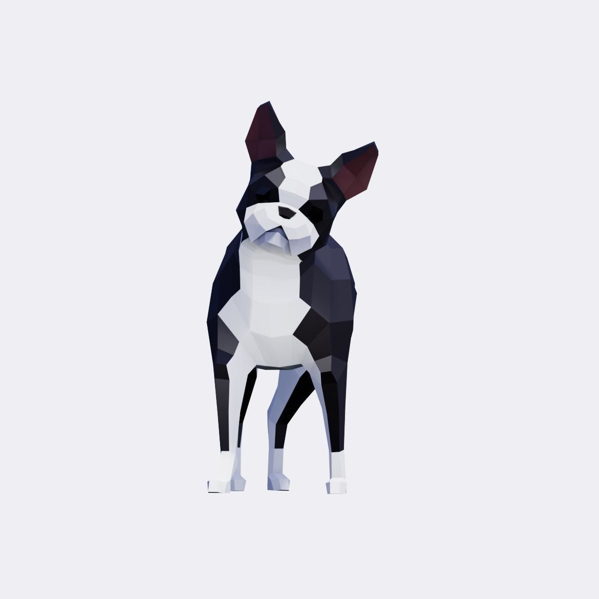 Boston Terrier Dogs Low-poly 3D model_5