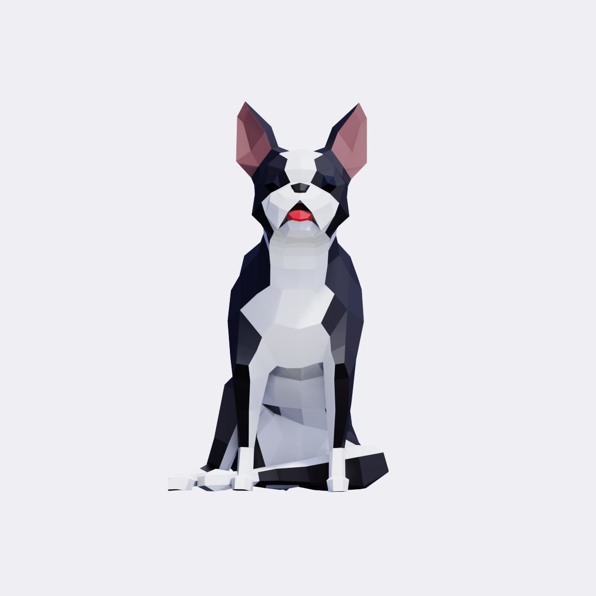 Boston Terrier Dogs Low-poly 3D model_1