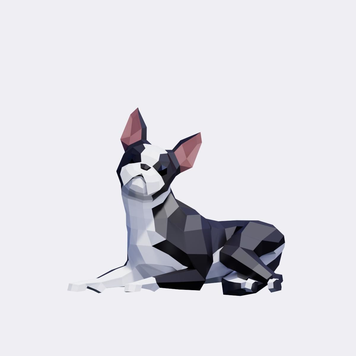 Boston Terrier Dogs Low-poly 3D model_4