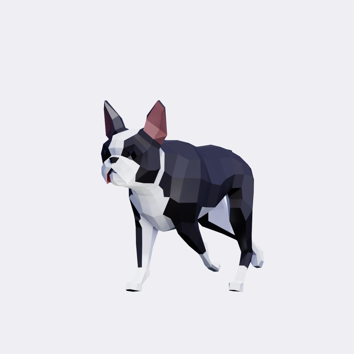 Boston Terrier Dogs Low-poly 3D model_2