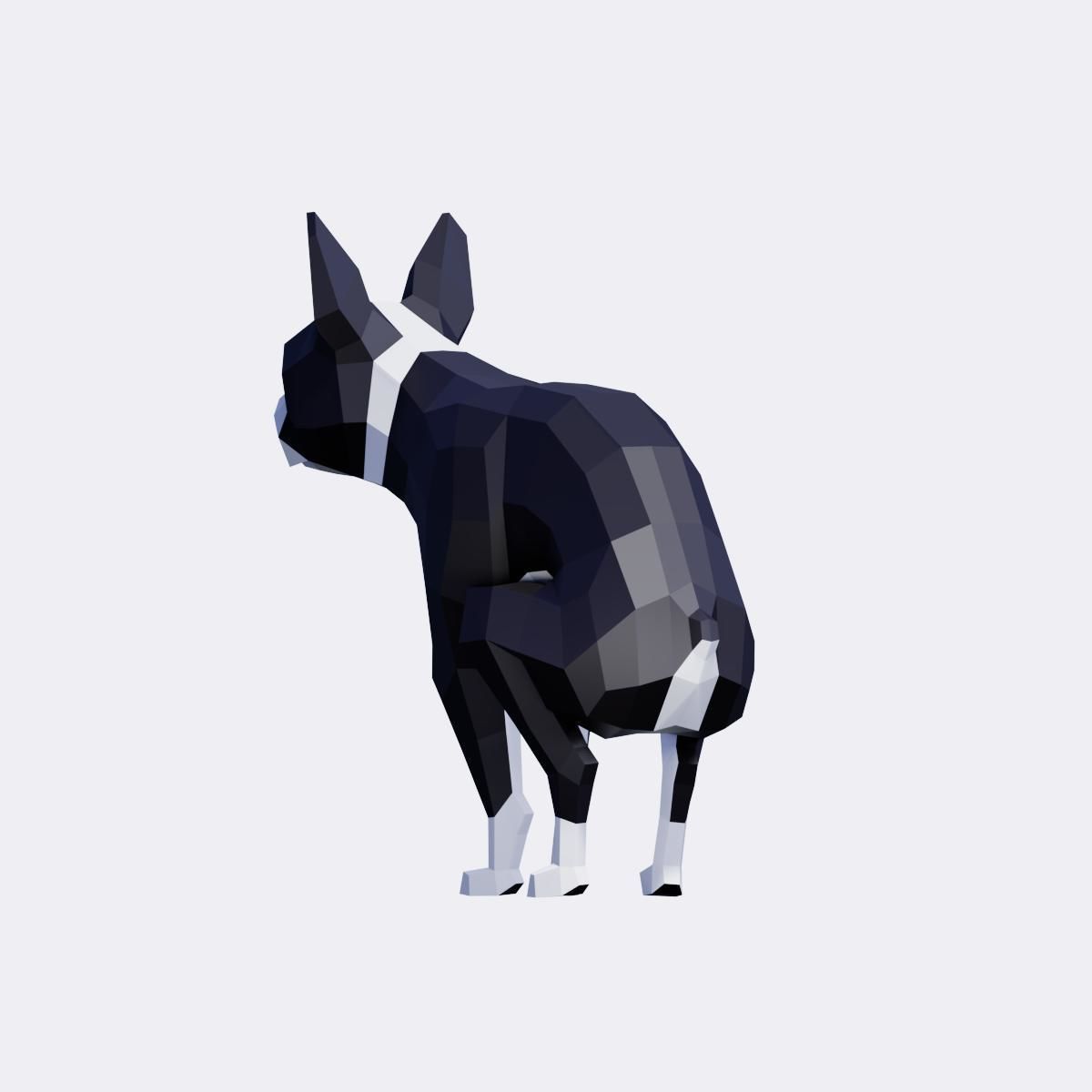 Boston Terrier Dogs Low-poly 3D model_7