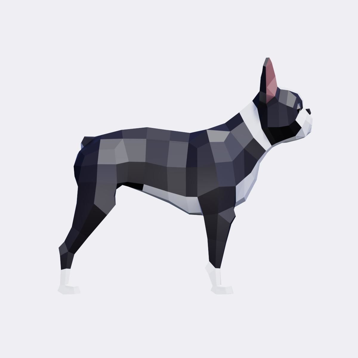 Boston Terrier Dogs Low-poly 3D model_8
