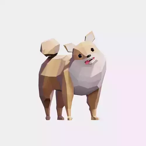 Pomeranian Dogs Low-poly 3D model