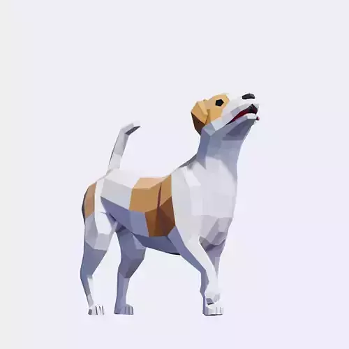 Jack Russell Terrier Dogs