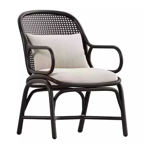 FRAMES LOUNGE CHAIR