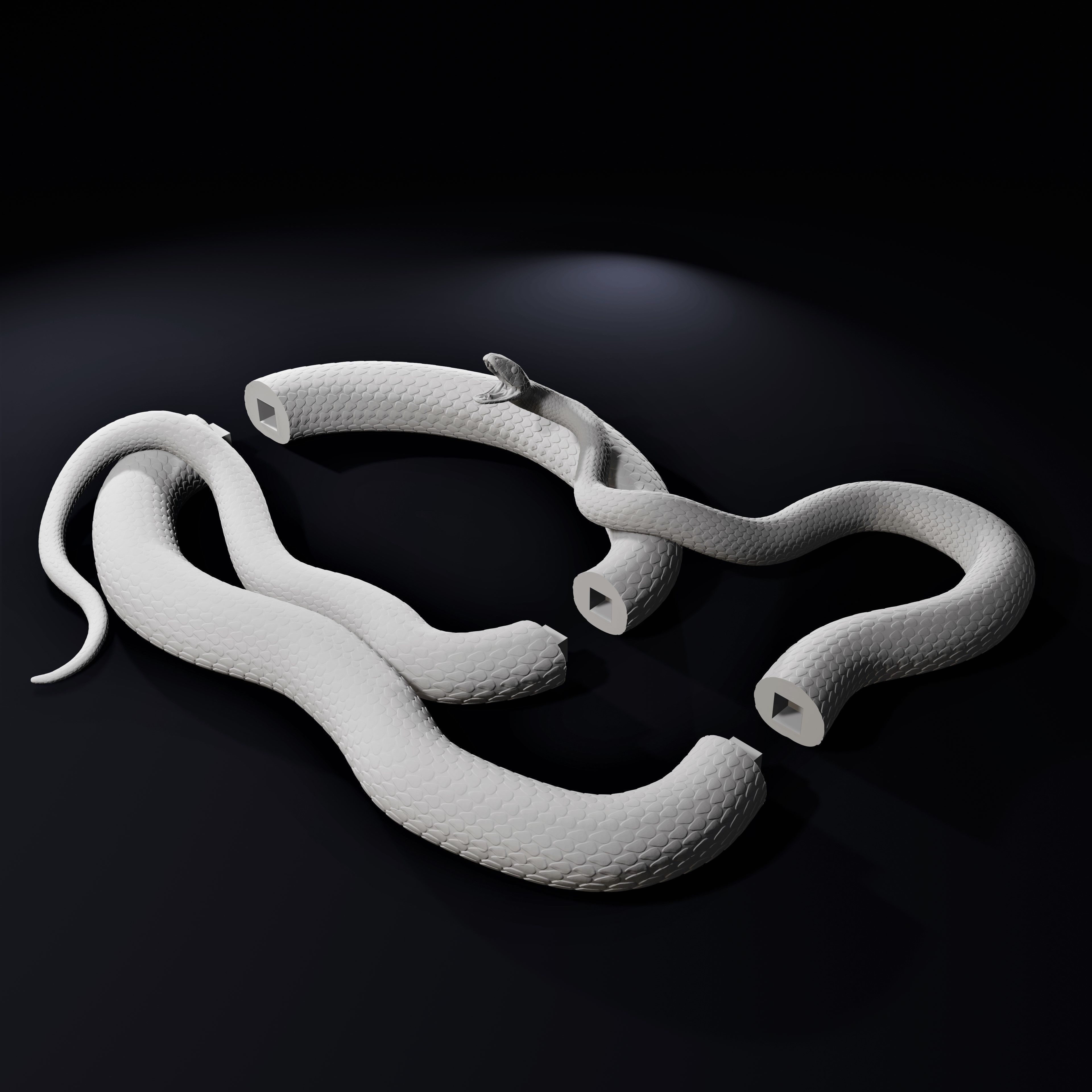Black Mamba Venomous Snake Reptile 3D Print 3D print model_8