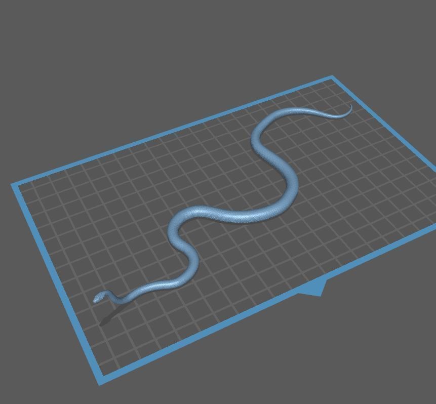 Black Mamba Venomous Snake Reptile 3D Print 3D print model_9