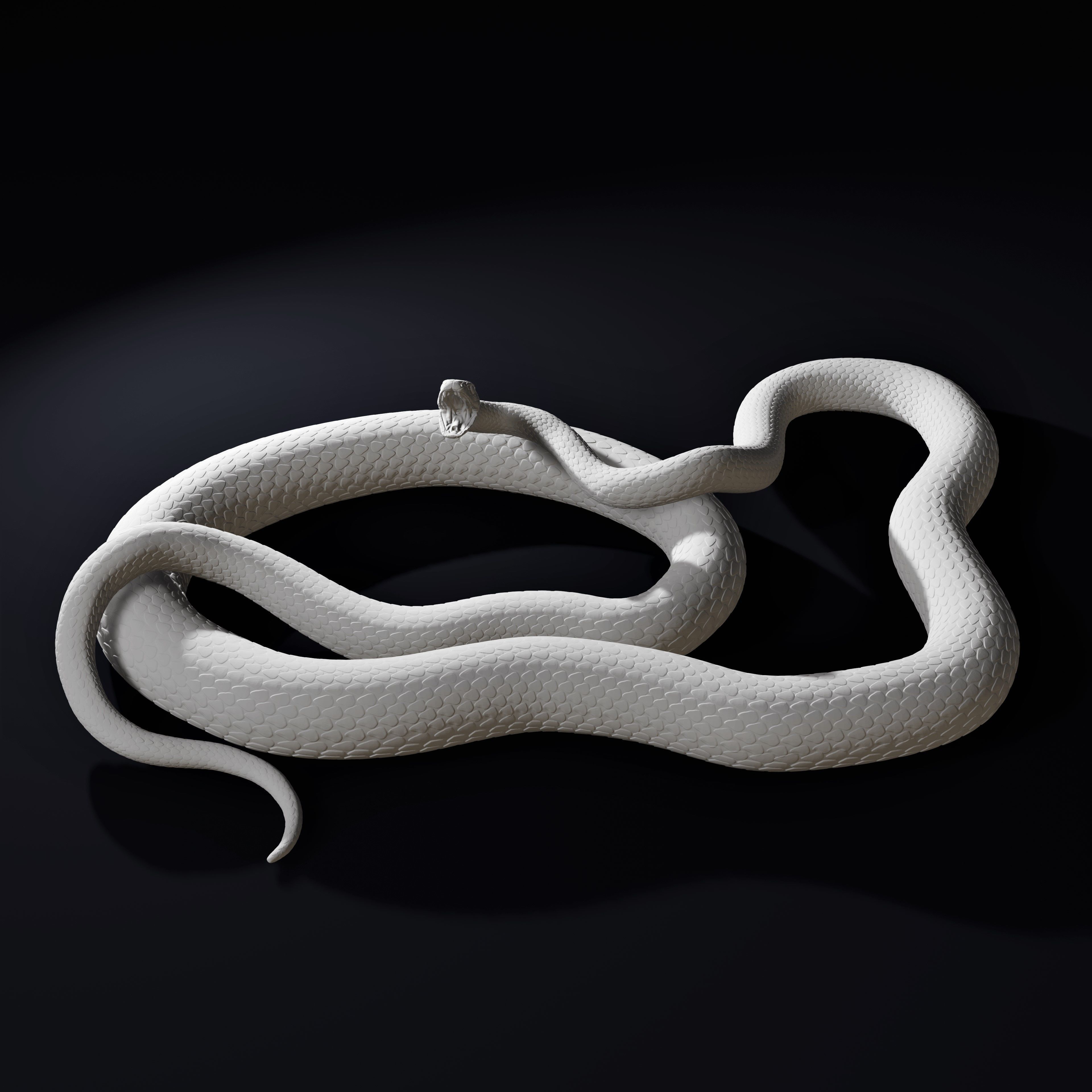 Black Mamba Venomous Snake Reptile 3D Print 3D print model_3