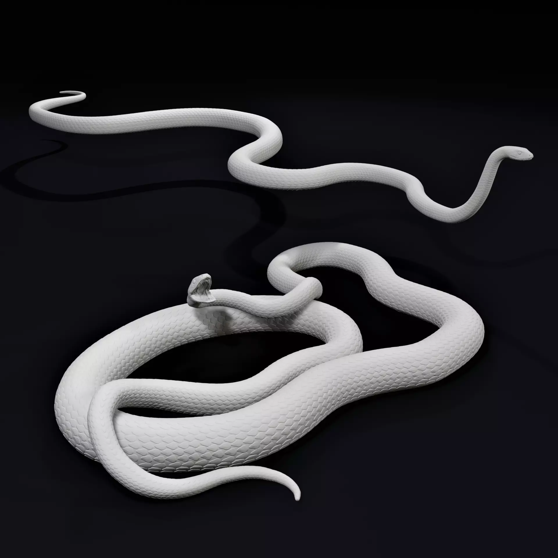 Black Mamba Venomous Snake Reptile 3D Print 3D print model_0