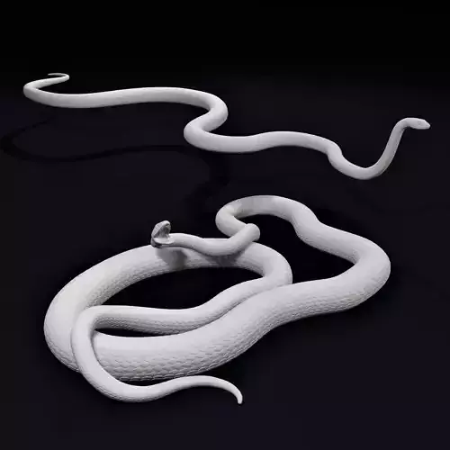 Black Mamba Venomous Snake Reptile 3D Print 3D print model