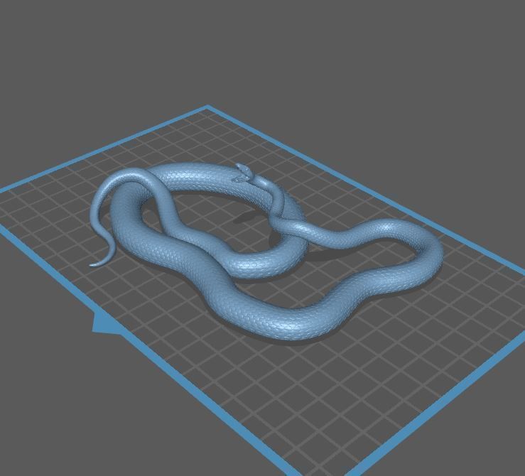 Black Mamba Venomous Snake Reptile 3D Print 3D print model_10