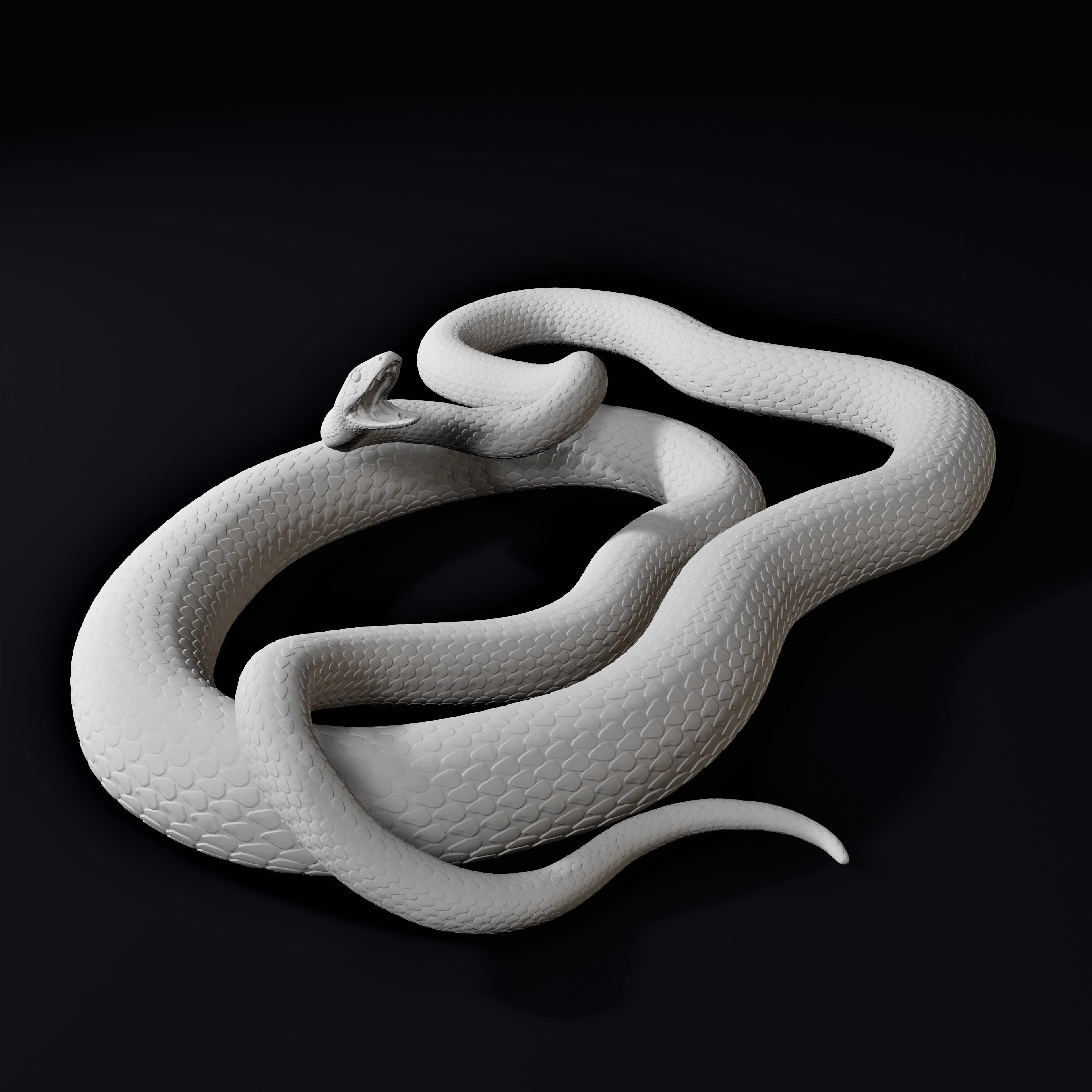 Black Mamba Venomous Snake Reptile 3D Print 3D print model_1