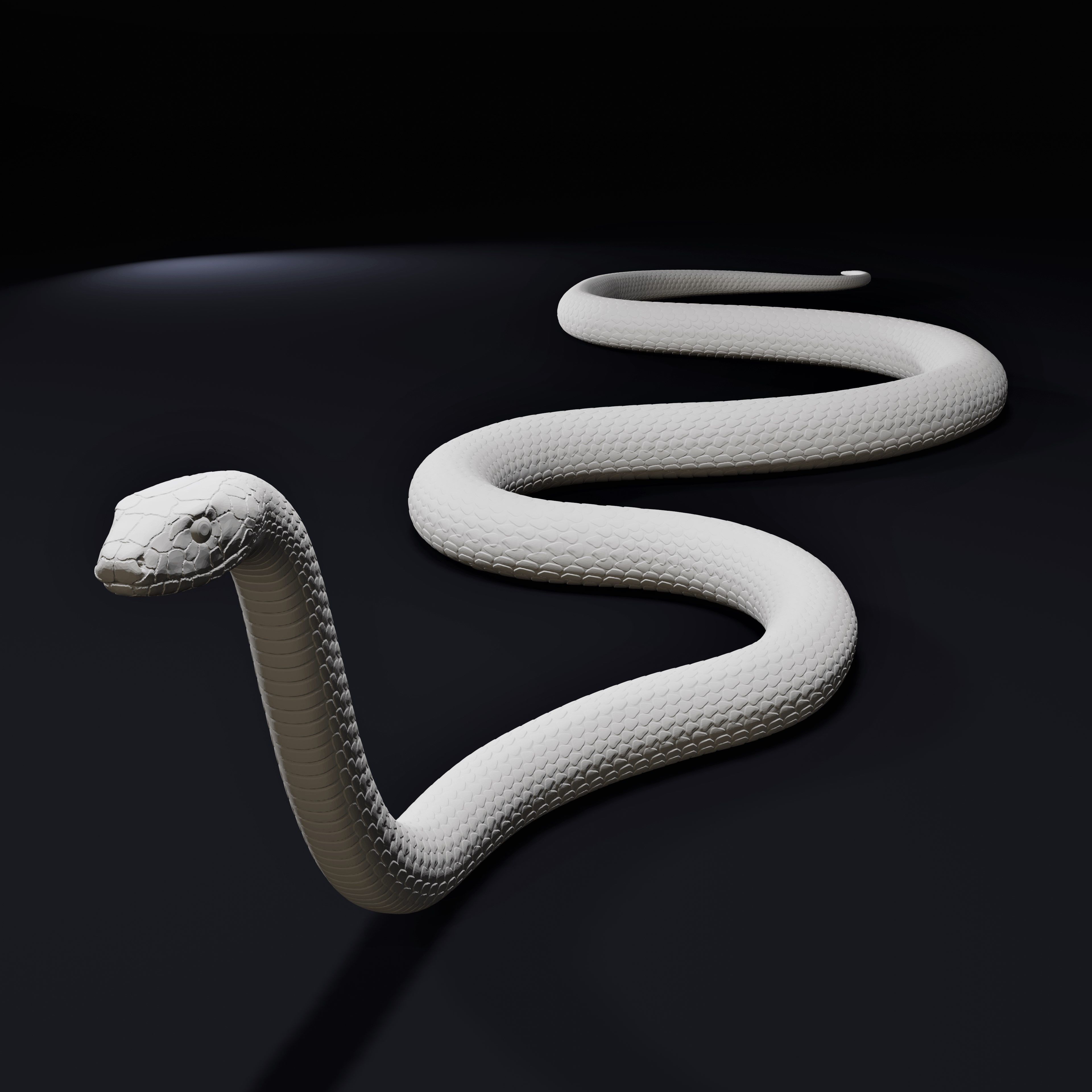 Black Mamba Venomous Snake Reptile 3D Print 3D print model_6
