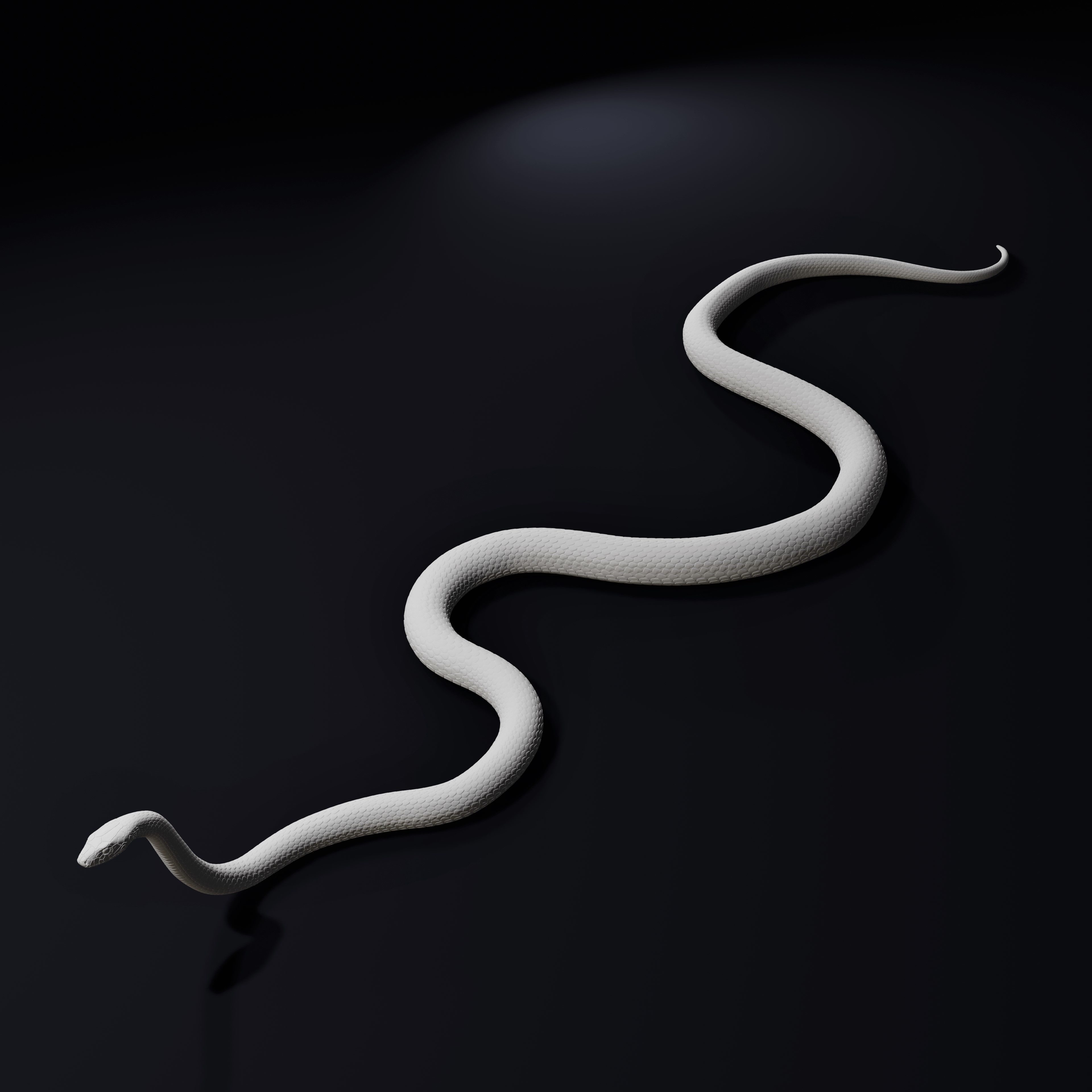 Black Mamba Venomous Snake Reptile 3D Print 3D print model_5
