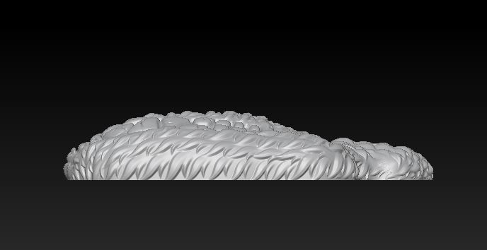 Monkey 3D print model_3