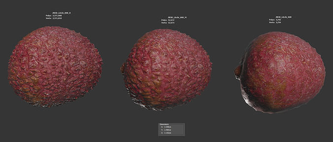 Lychee 3D model 6