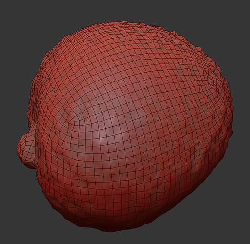Lychee 3D model 7