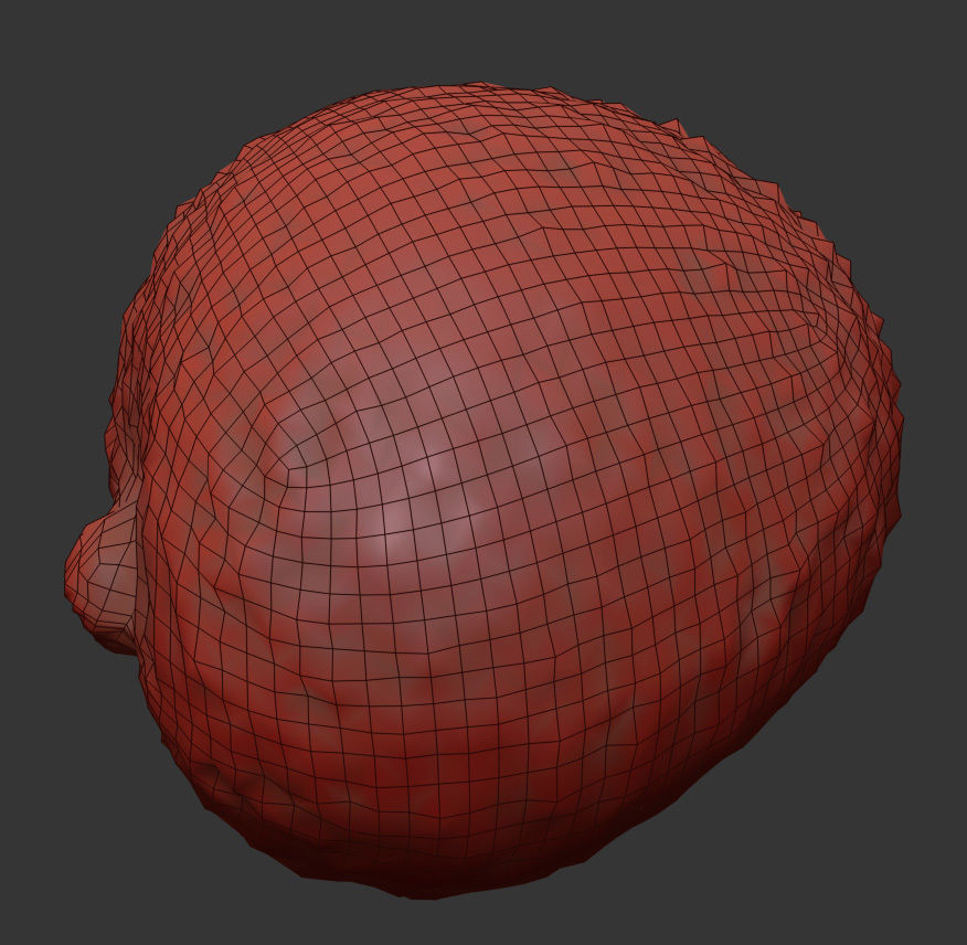 Lychee 3D model_6