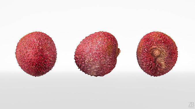 Lychee 3D model 5