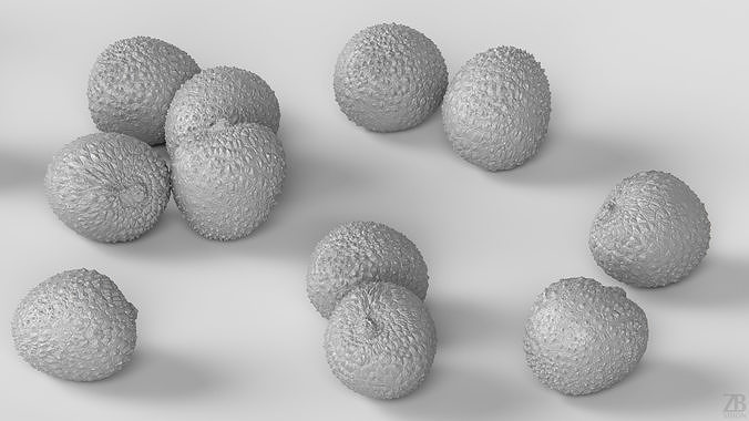 Lychee 3D model 4