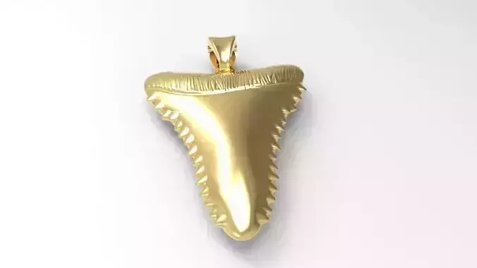 Shark Tooth Pendant Necklace Charm Jewelry 3D print model