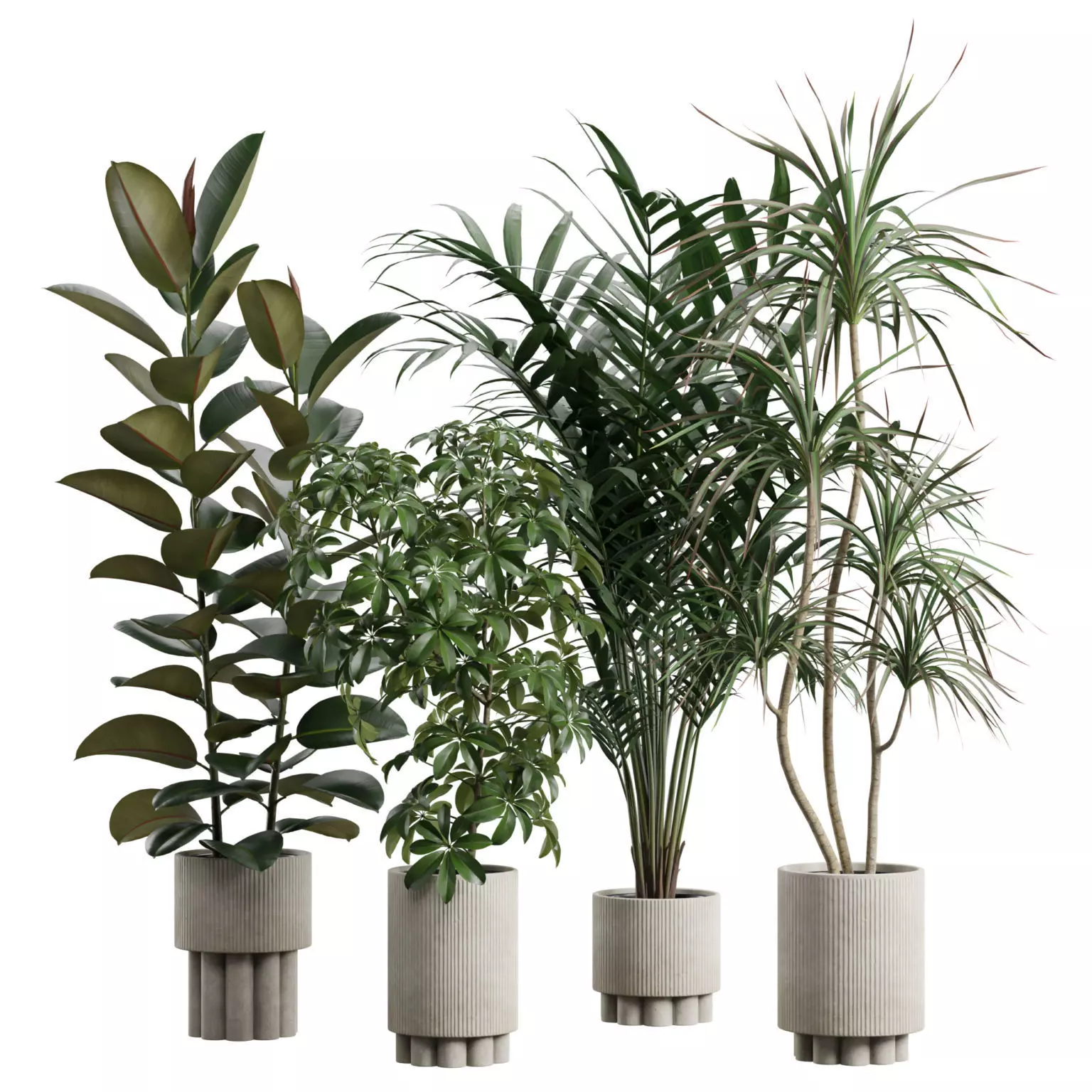 Indoor Plants Pack 60 3D model
