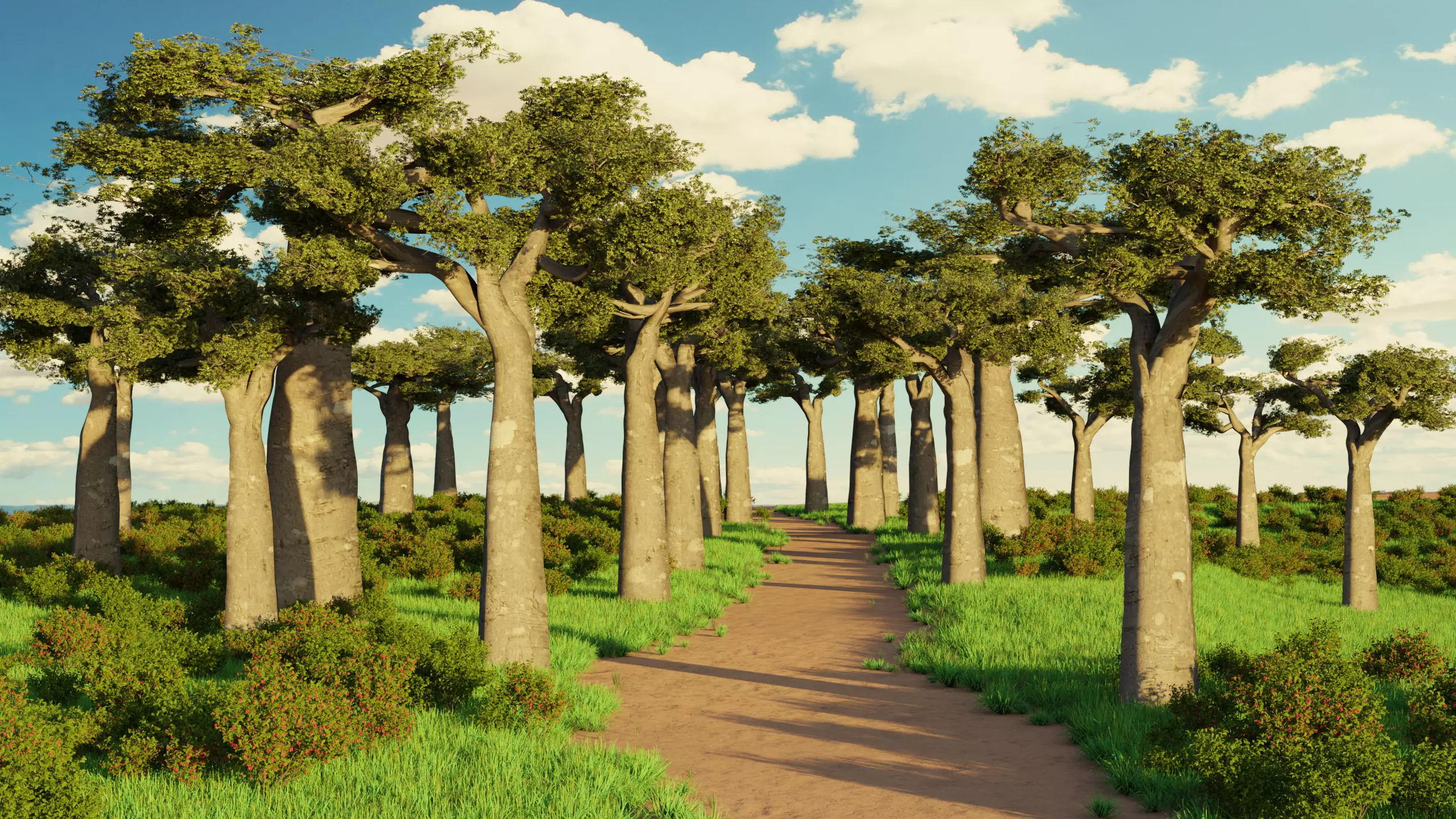 African Desert Boabab Tree Free 3D model
