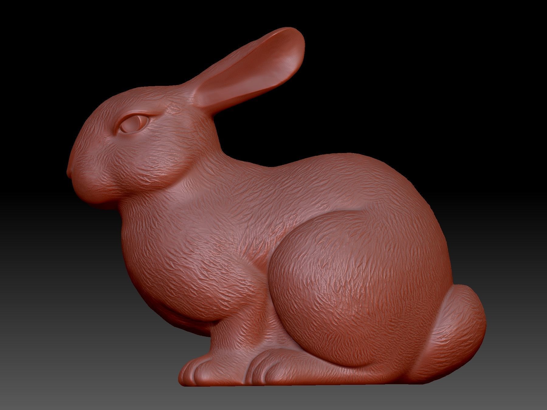 Rabbit 3D print model_1